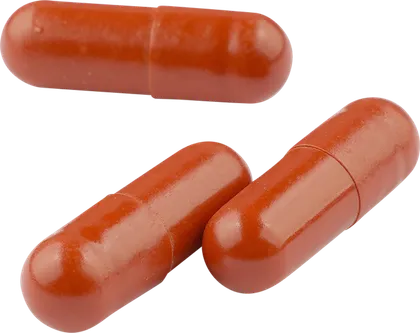 Kapsul EROJAN berwarna merah bata