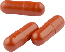 Kapsul EROJAN berwarna merah bata